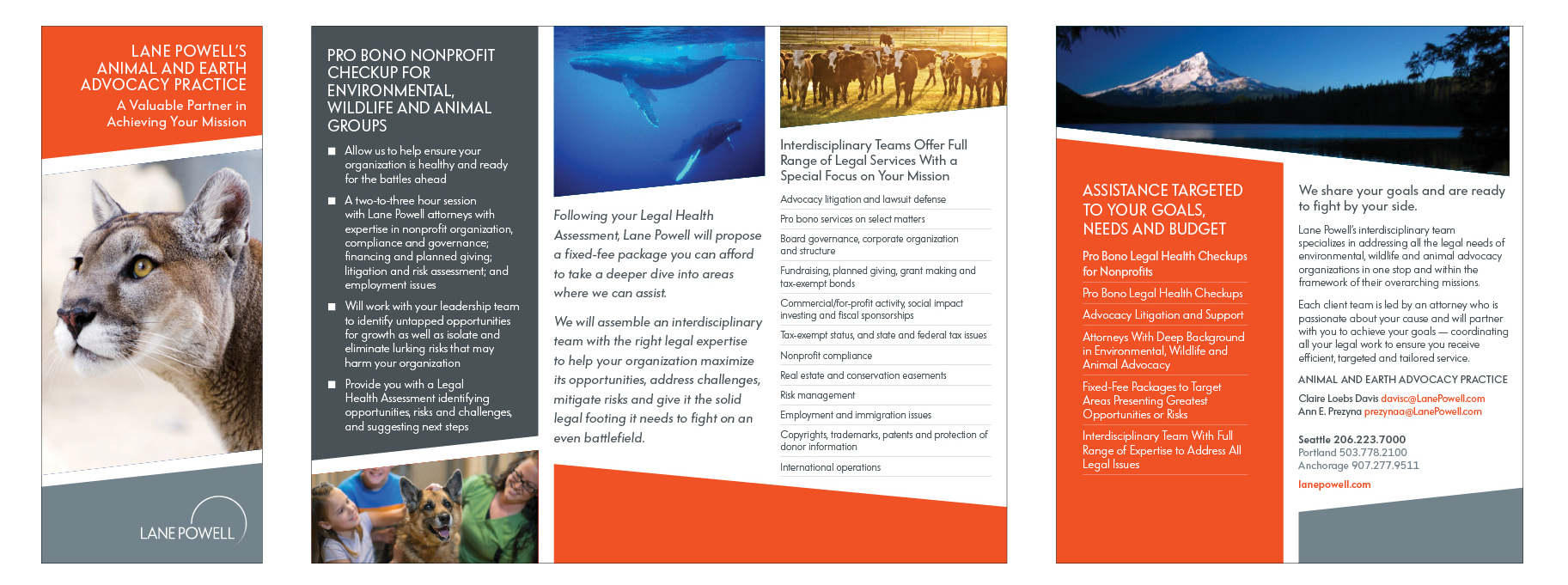 Animal Advocacy Group Trifold